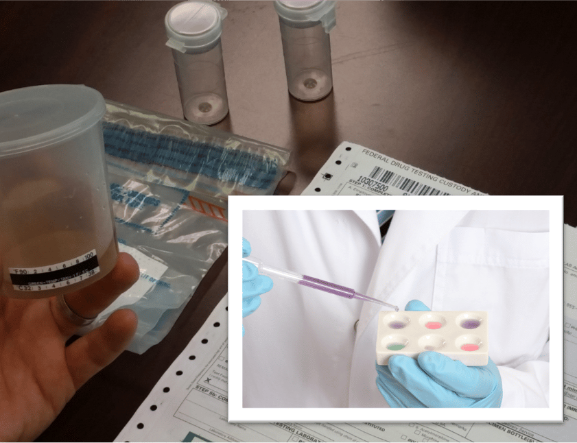 Video Blog: Where Does Drug Testing Take Place?