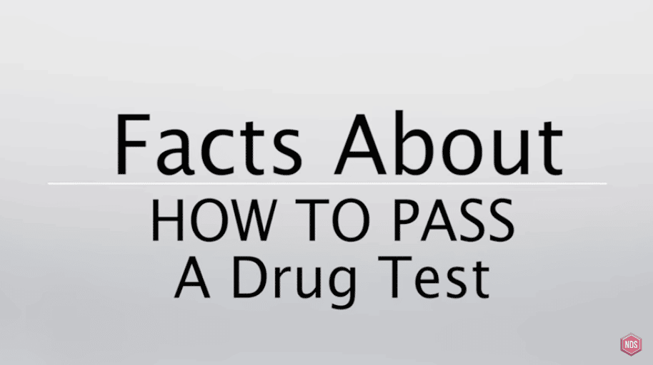 What Happens When You Get A Drug Test?